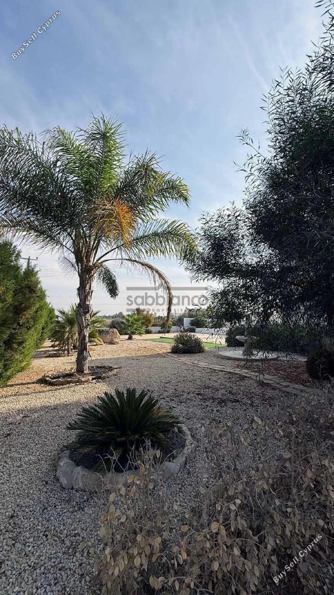 7 bedroom detached house for sale agioi trimithias nicosia 8742618 image 16405811