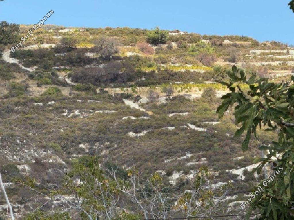 land for sale koilani limassol 826618 image 17103074