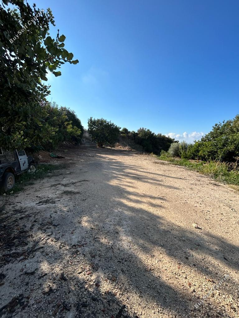 land for sale peyia paphos 8395618 image 16071298