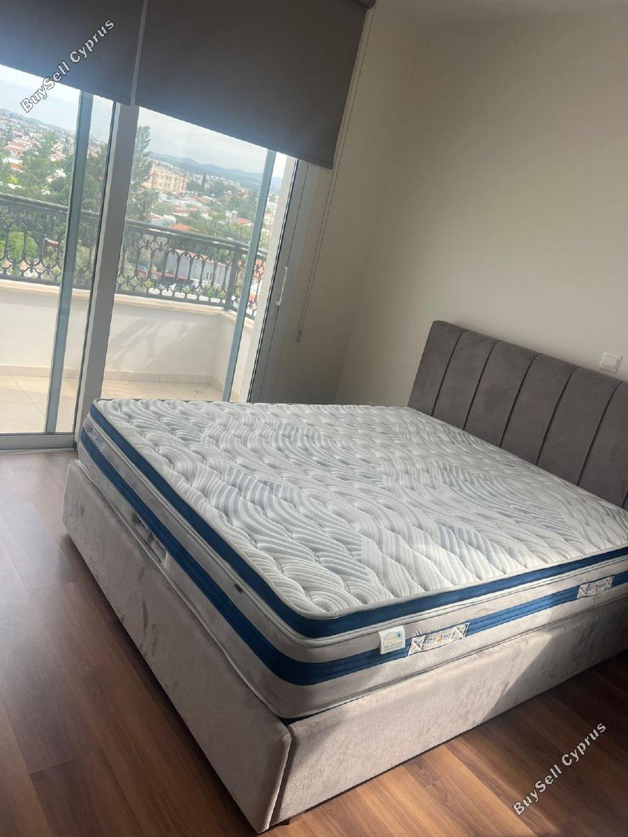 2 bedroom apartment for rent kato polemidia limassol 8926718 image 17623846