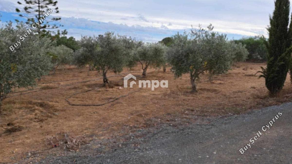 3 bedroom detached house for sale agioi trimithias nicosia 1730818 image 5565996