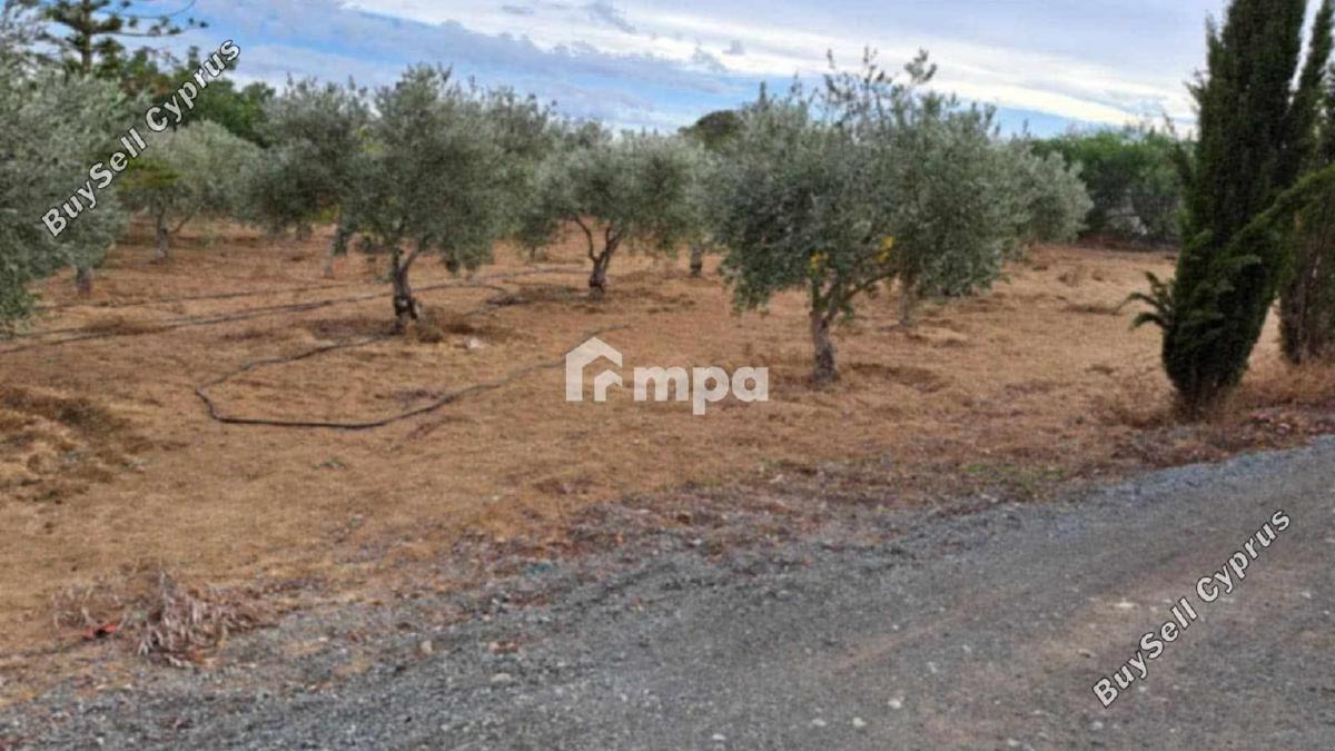 3 bedroom detached house for sale agioi trimithias nicosia 1730818 image 5565999