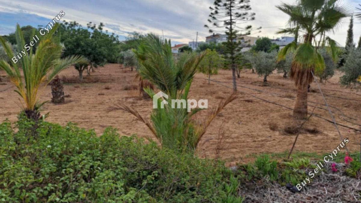 3 bedroom detached house for sale agioi trimithias nicosia 1730818 image 5566002