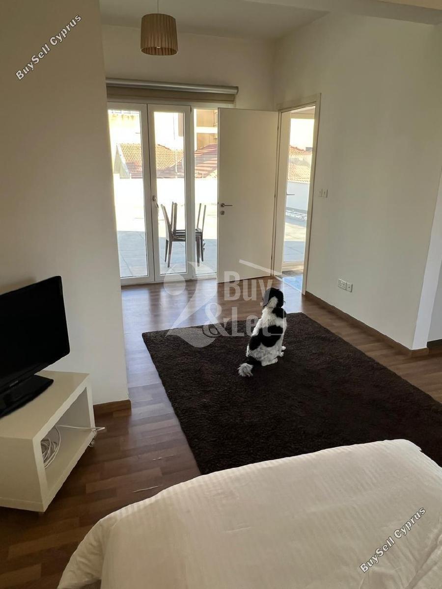 5 bedroom semi detached house for sale limassol municipality limassol 1481818 image 5118968