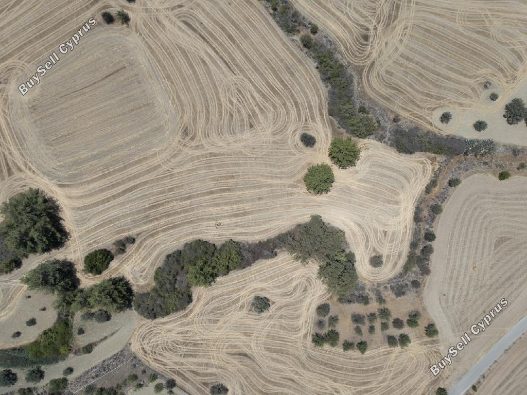 land for sale agrokipia nicosia 945818 image 15602290