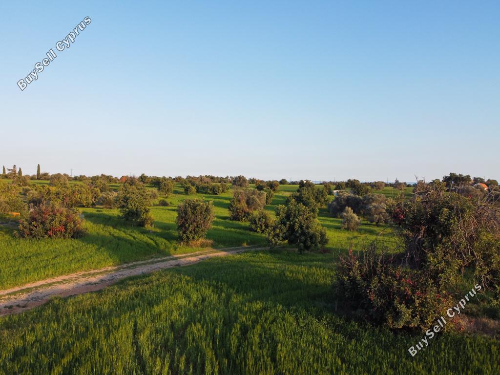 land for sale mazotos larnaca 1032818 image 15603614