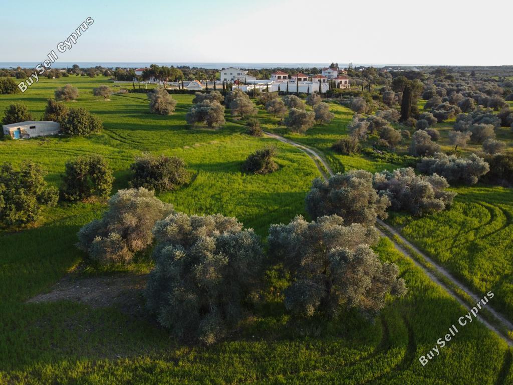 land for sale mazotos larnaca 1032818 image 15603615