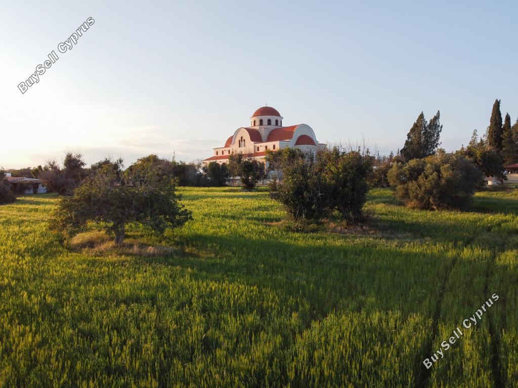 land for sale mazotos larnaca 1032818 image 15603617