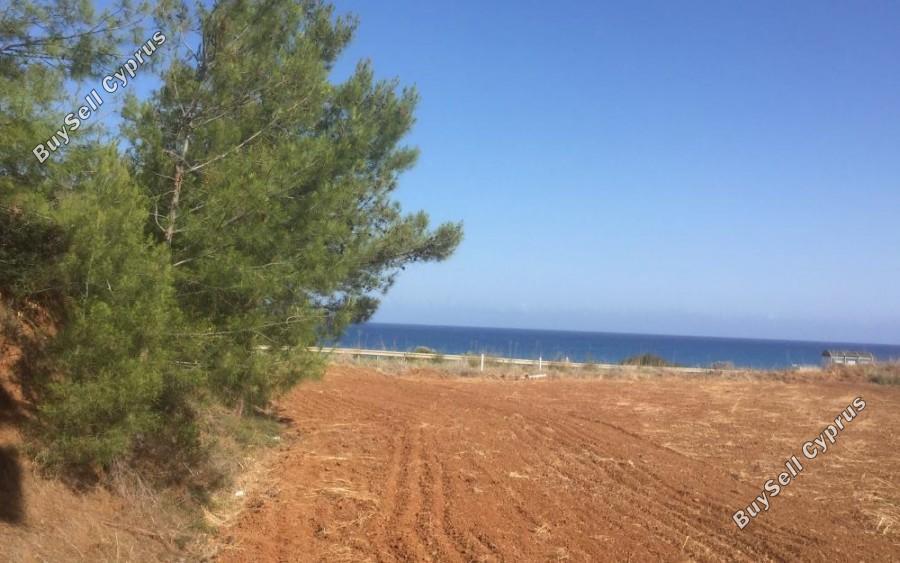 land for sale nea dimmata paphos 1355818 image 13009014