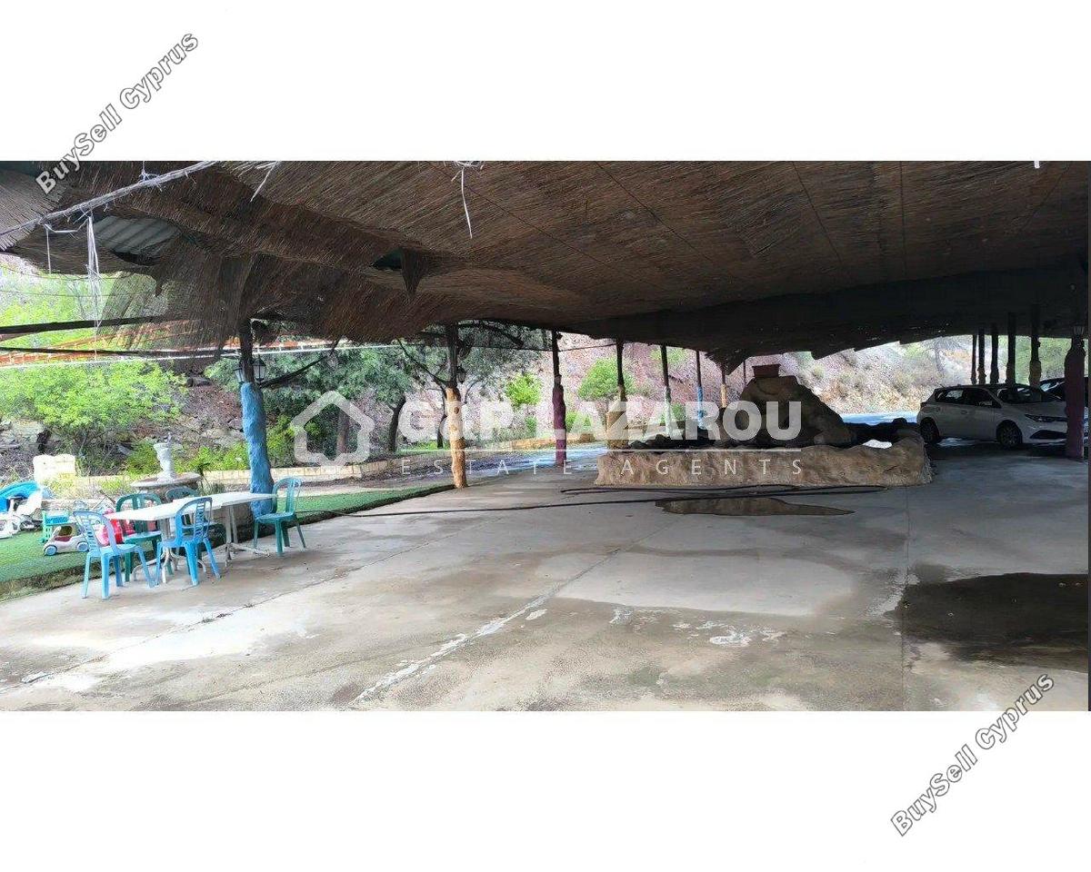 studio restaurant for sale agios epifanios oreinis nicosia 8003818 image 15902498