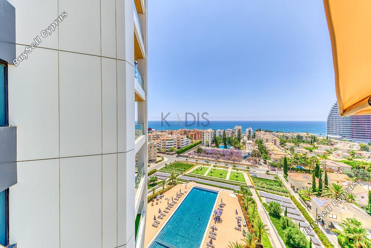 1 bedroom apartment for rent potamos germasogeias limassol 8350918 image 16338040