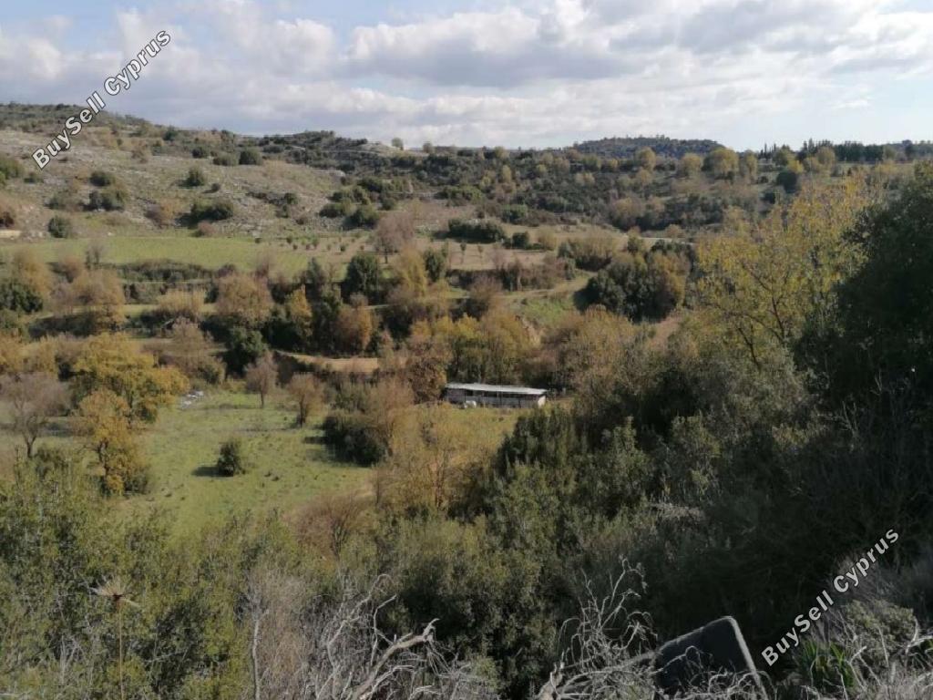 land for sale psathi paphos 980918 image 15598803