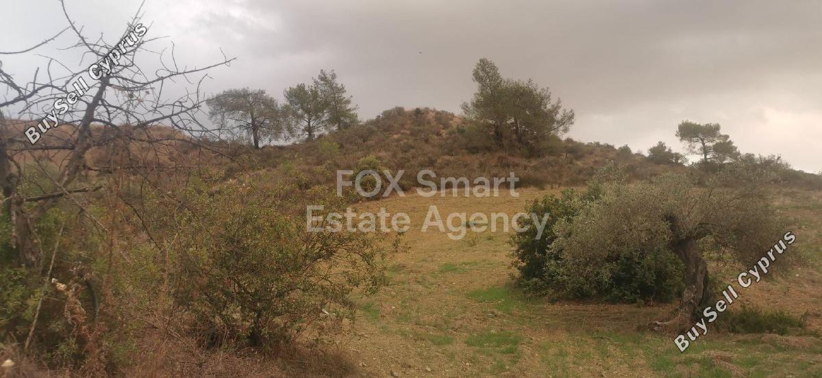 land for sale tochni larnaca 1419918 image 9218193