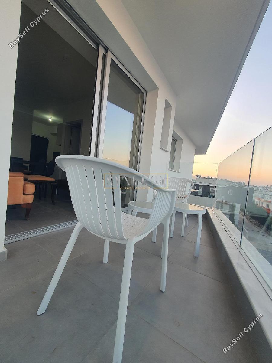 studio apartment for rent aglantzia nicosia 7899028 image 16339004
