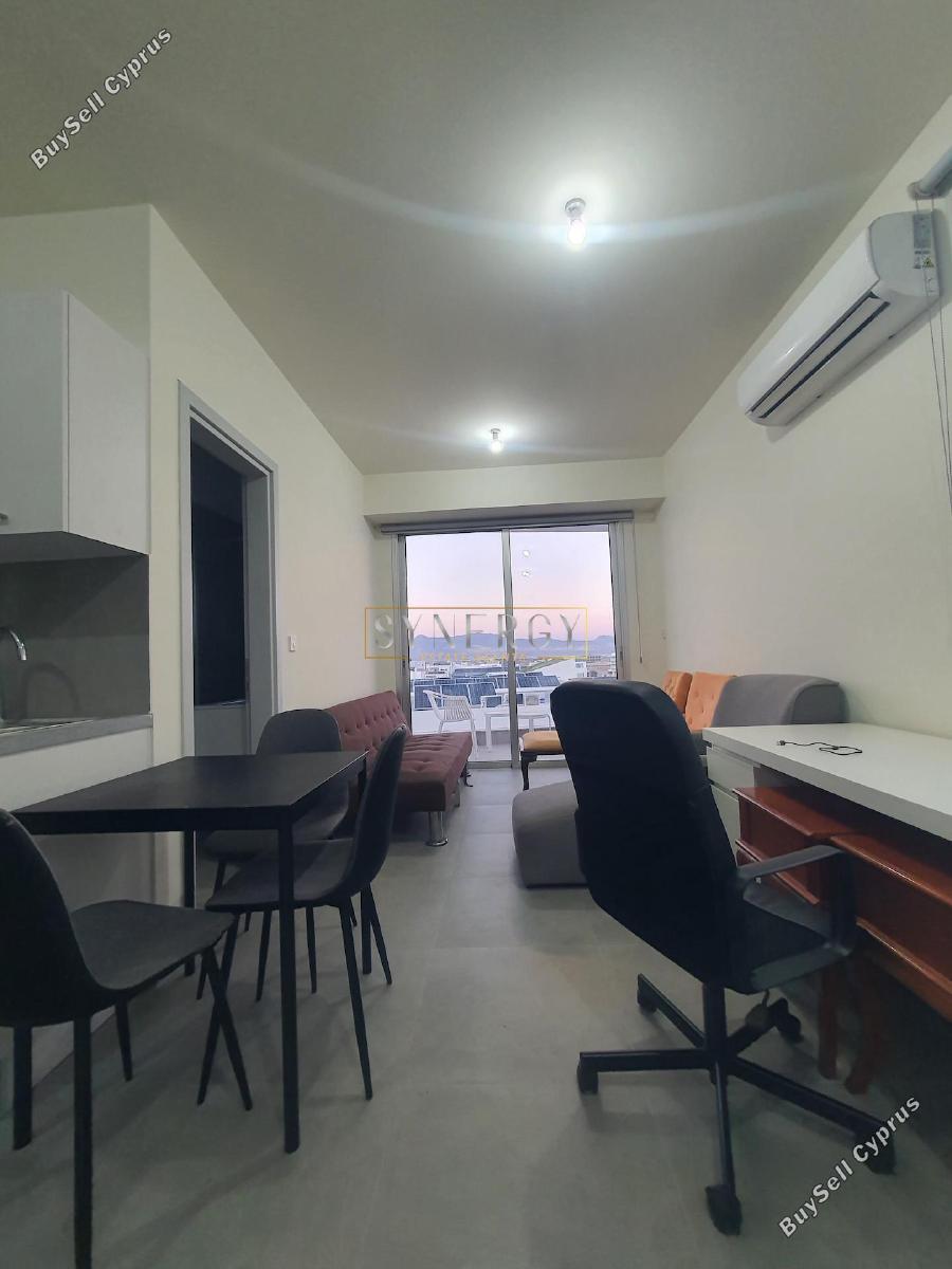 studio apartment for rent aglantzia nicosia 7899028 image 16339014