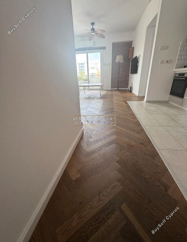 1 bedroom apartment for rent potamos germasogeias limassol 8681128 image 16339929