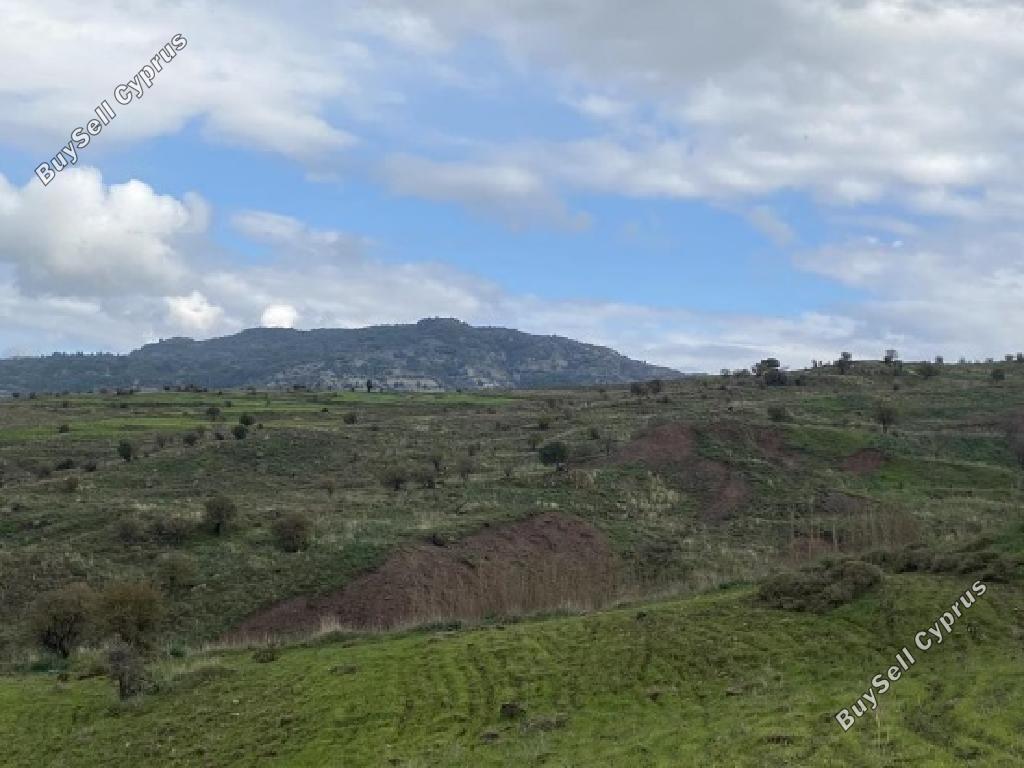 land for sale kelokedara paphos 1785128 image 15597603