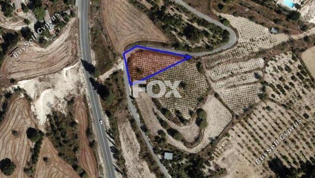 land for sale stroumbi paphos 1326128 image 5595360