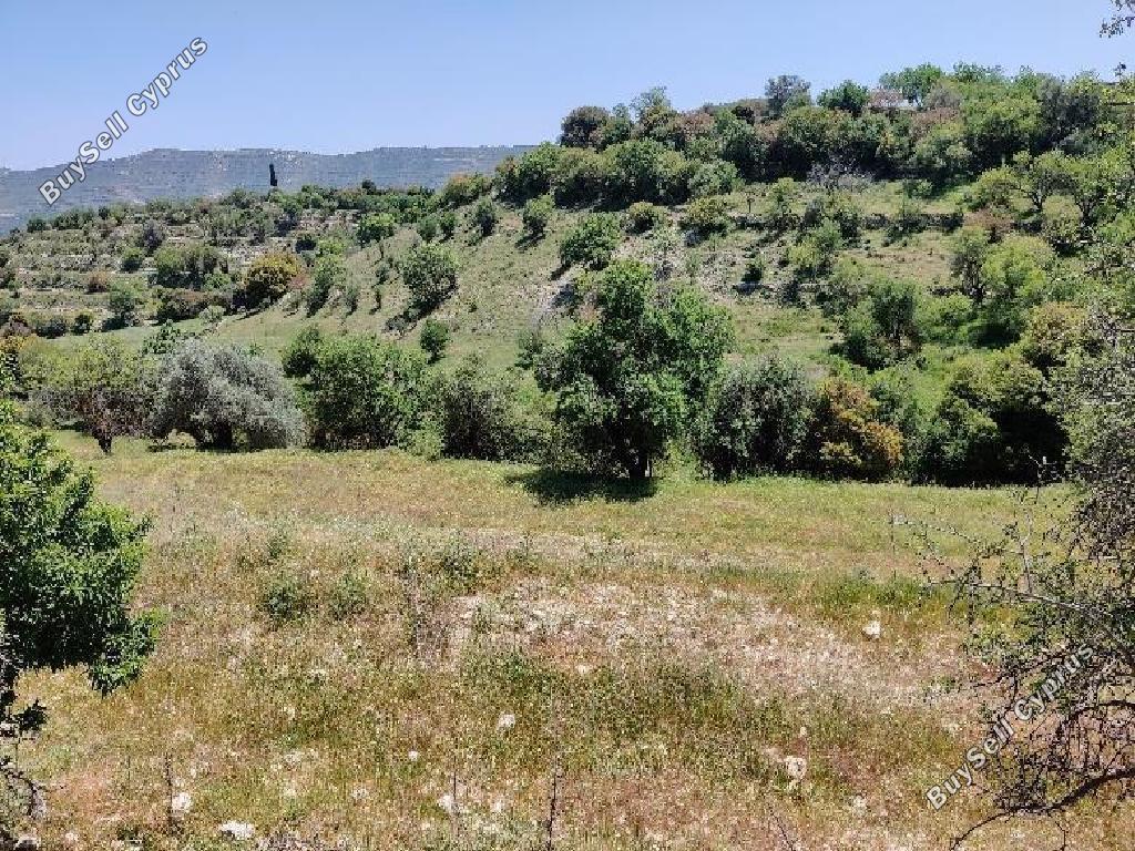 land for sale dora limassol 946228 image 16009874