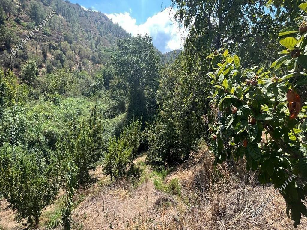 land for sale galata nicosia 8716228 image 16295220
