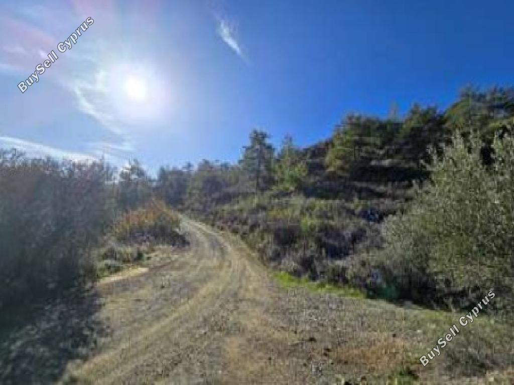 land for sale louvaras limassol 8463228 image 16700684