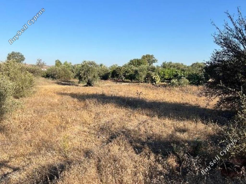 land for sale pera orinis nicosia 8793428 image 16700736