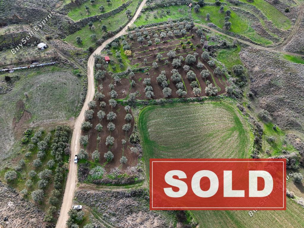 land sold analiontas nicosia 946428 image 3006582