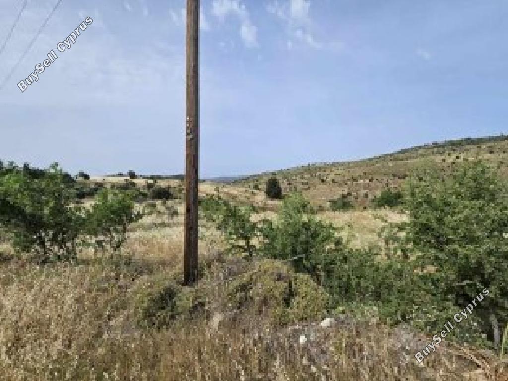 6021 SQM Land for sale in Pentalia, Paphos 15596351