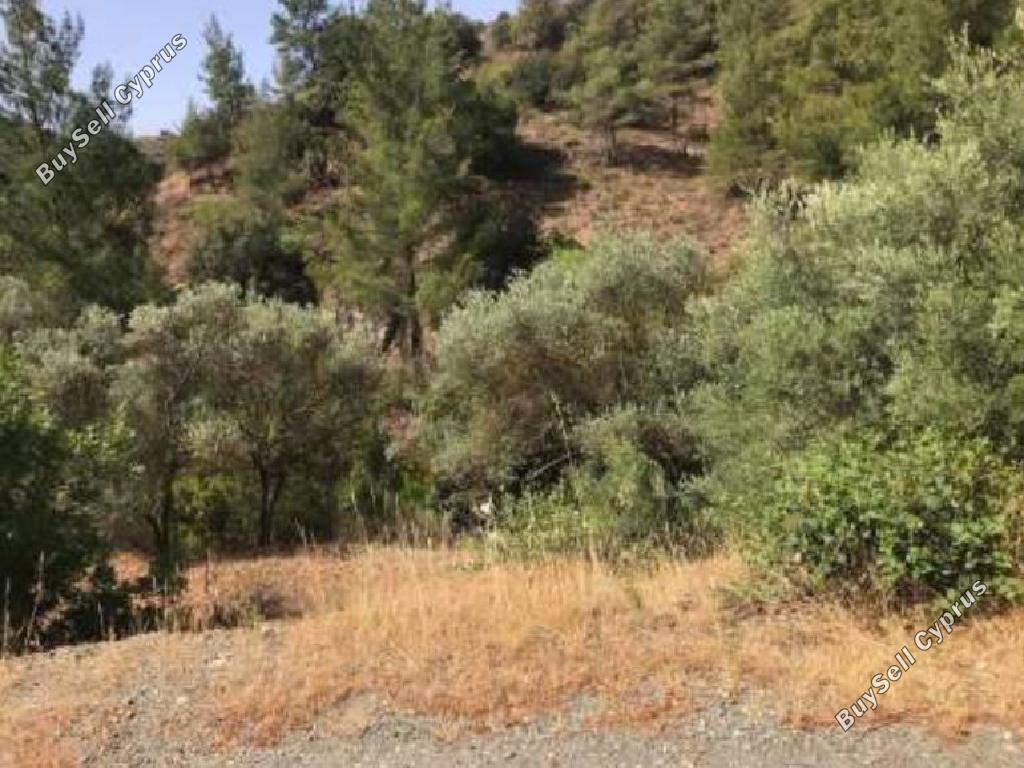 7191 SQM Land for sale in Kalo Chorio Lemesou, Limassol 15600859