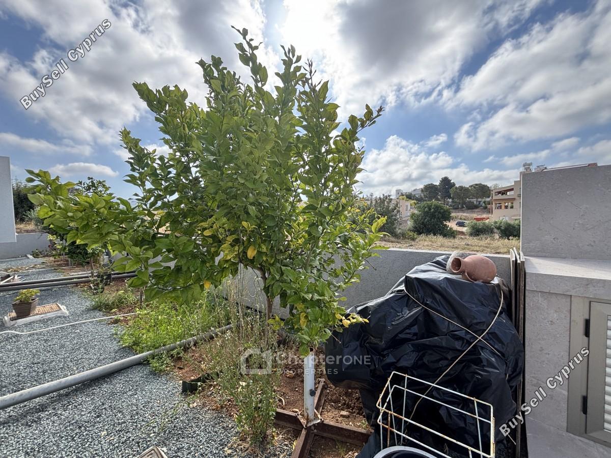 4 bedroom bungalow for sale emba paphos 8360528 image 15854604