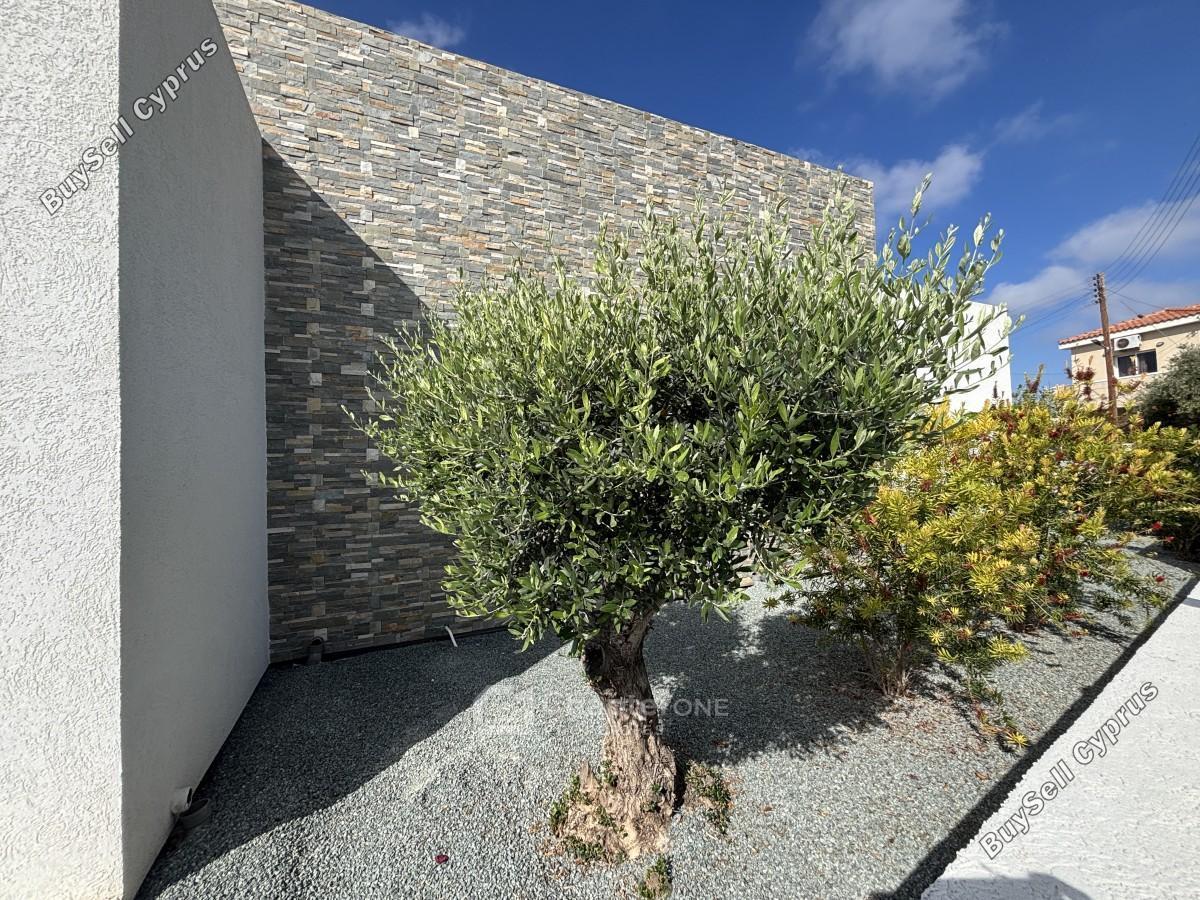 4 bedroom bungalow for sale emba paphos 8360528 image 15854628