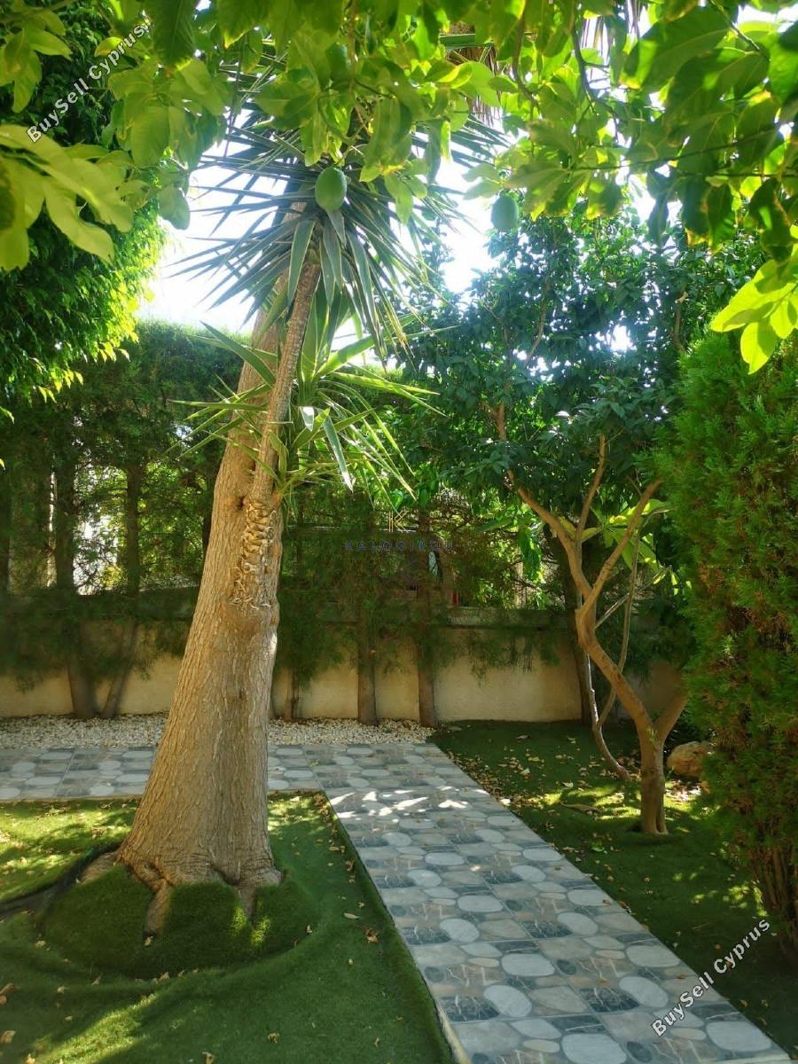 6 bedroom detached house for sale dekeleia larnaca 1195528 image 5580120
