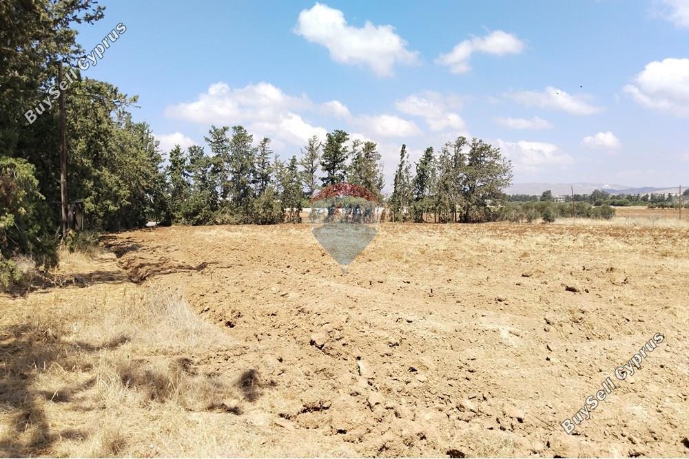 land for sale mandria pafou paphos 1511528 image 14841788