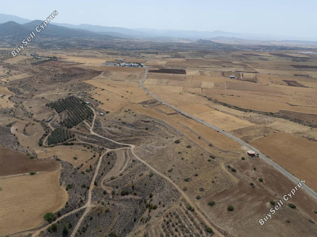 land for sale nikitari nicosia 8463528 image 15136403