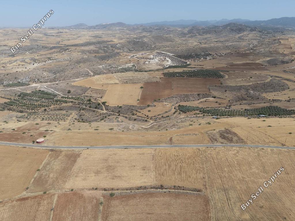 land for sale nikitari nicosia 8463528 image 15136405