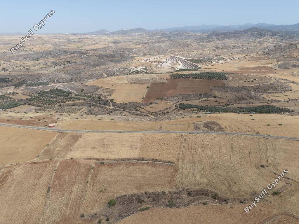 land for sale nikitari nicosia 8463528 image 15136407