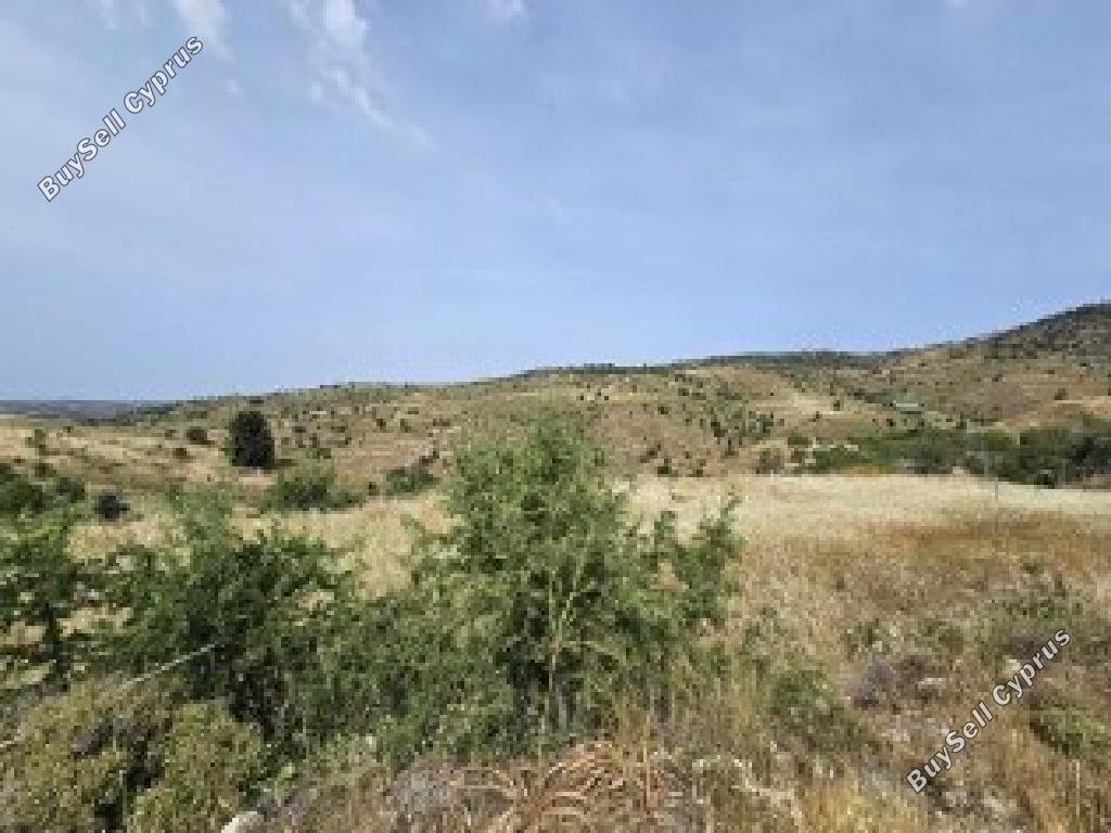 land for sale pentalia paphos 7805528 image 15596350