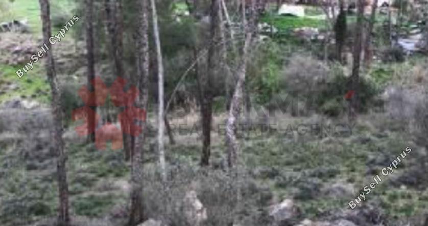 plot for sale psevdas larnaca 7921528 image 11218702