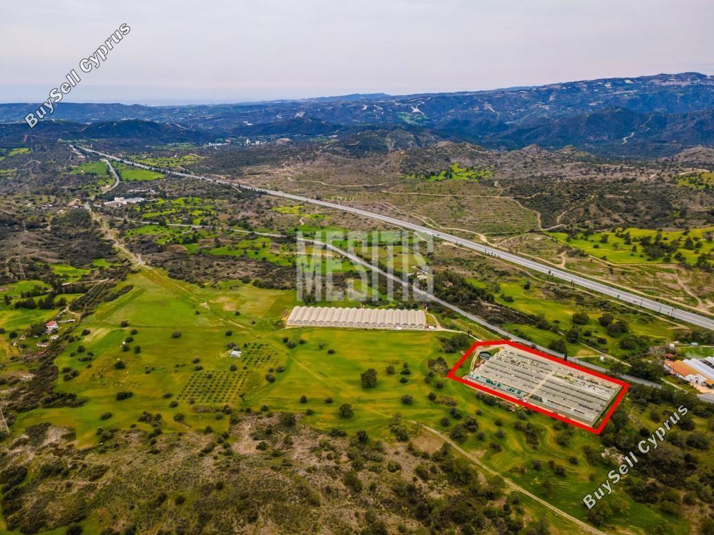 land for sale kornos larnaca 7798628 image 10555672