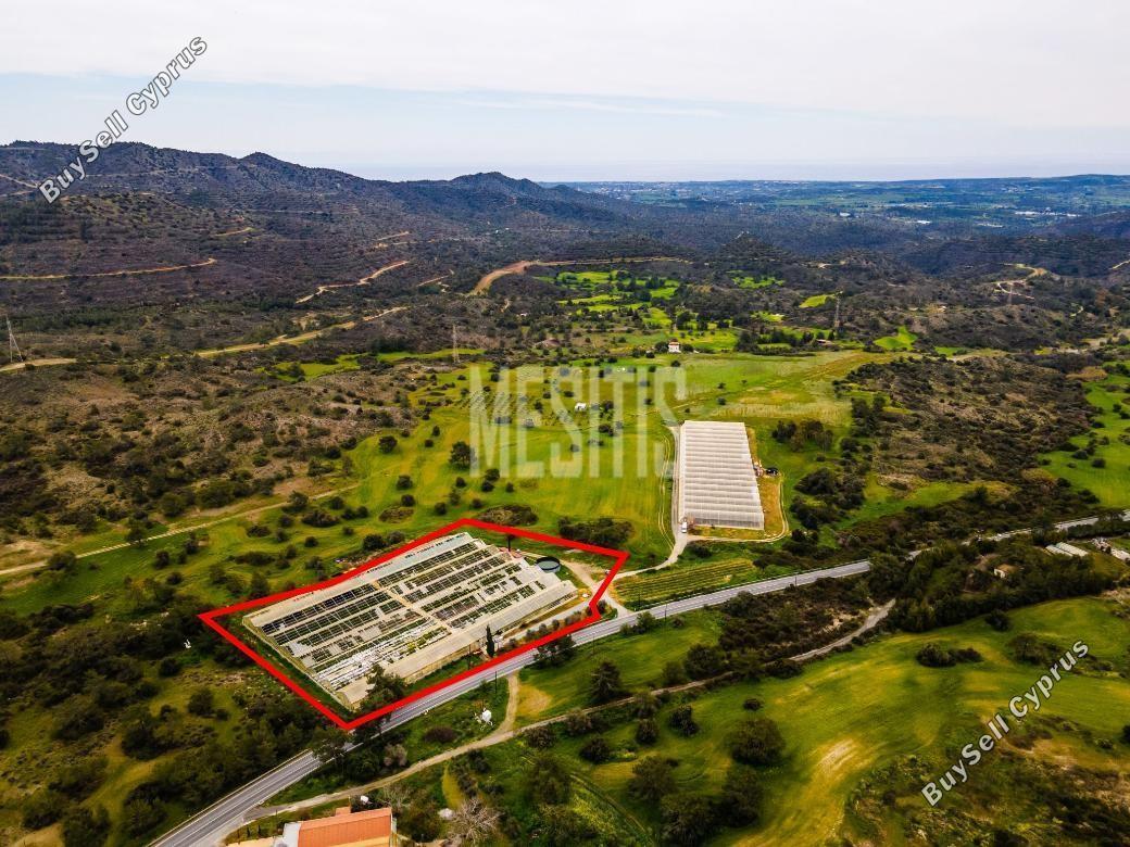 land for sale kornos larnaca 7798628 image 10555674