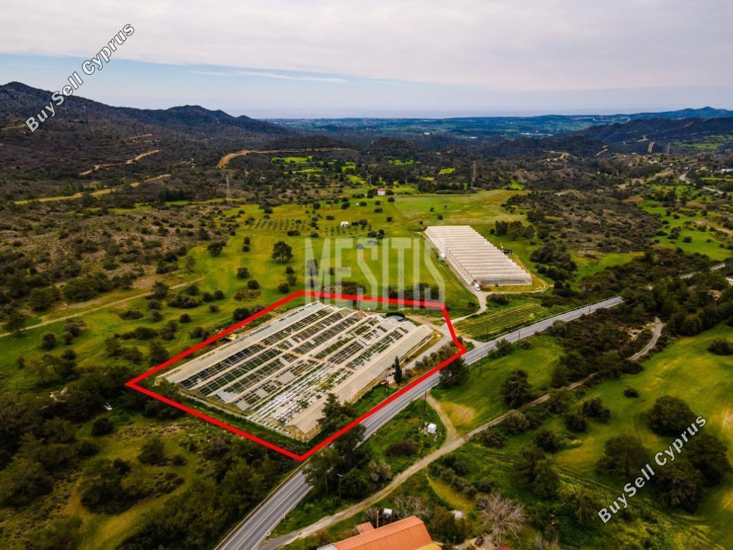 land for sale kornos larnaca 7798628 image 10555675