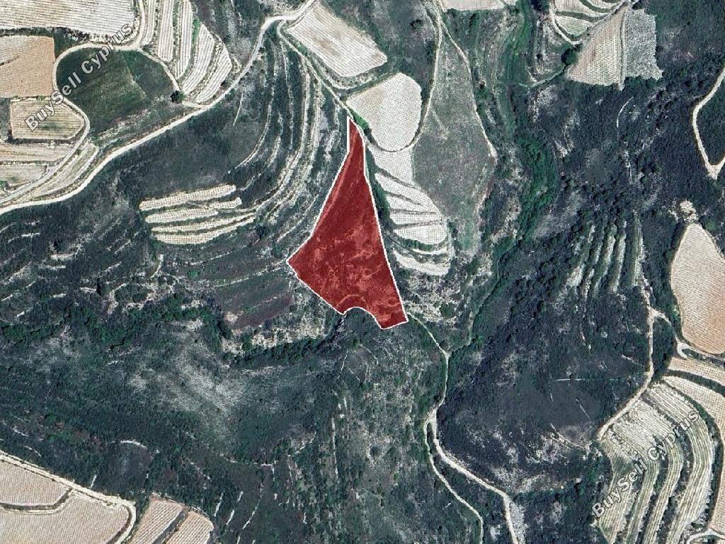 land for sale omodos limassol 8785628 image 16655821