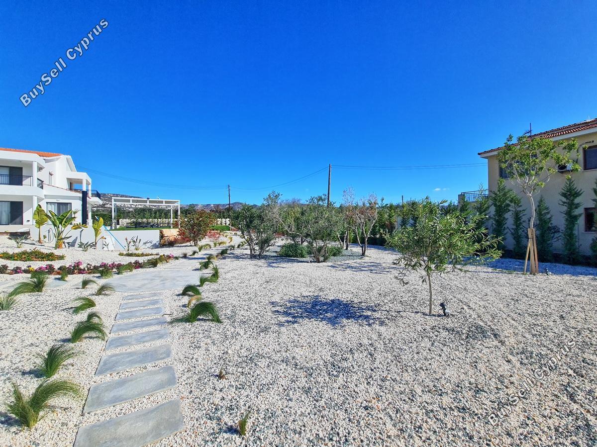 5 bedroom detached house for sale coral bay paphos 1603828 image 4055630