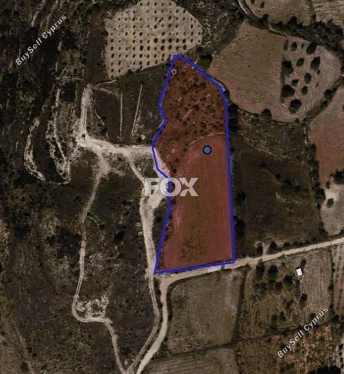 land for sale marathounta paphos 1419828 image 15840187