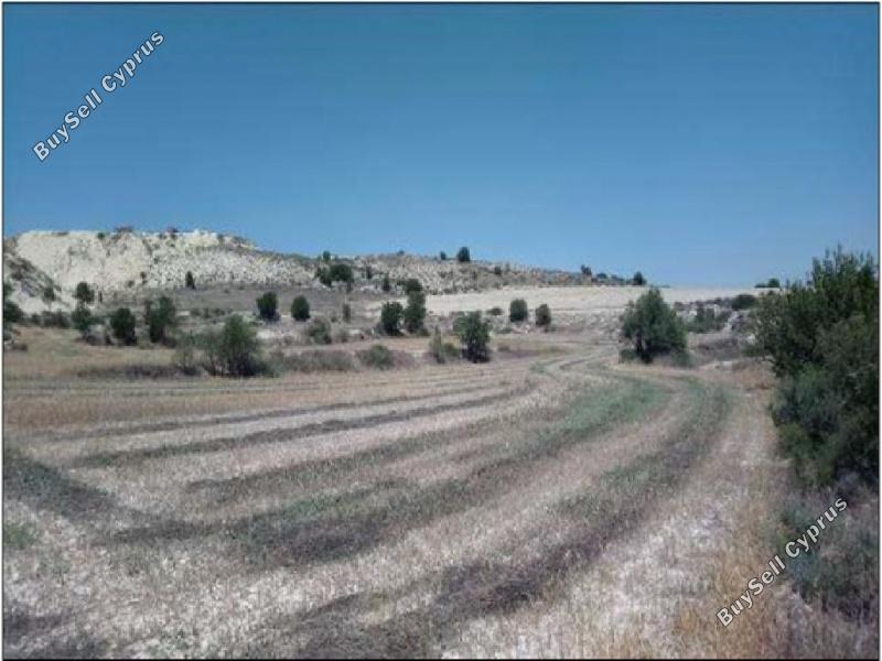 land for sale pera orinis nicosia 1062038 image 16181588