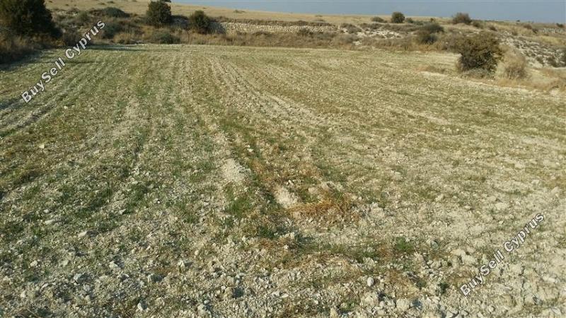 land for sale pera orinis nicosia 1062038 image 16181594