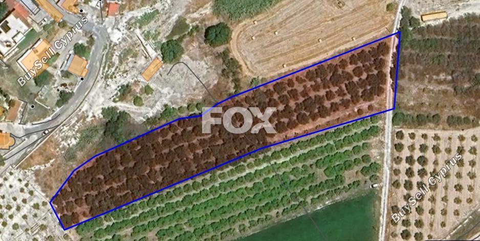 4708 SQM Land for sale in Nikokleia, Paphos 15400218