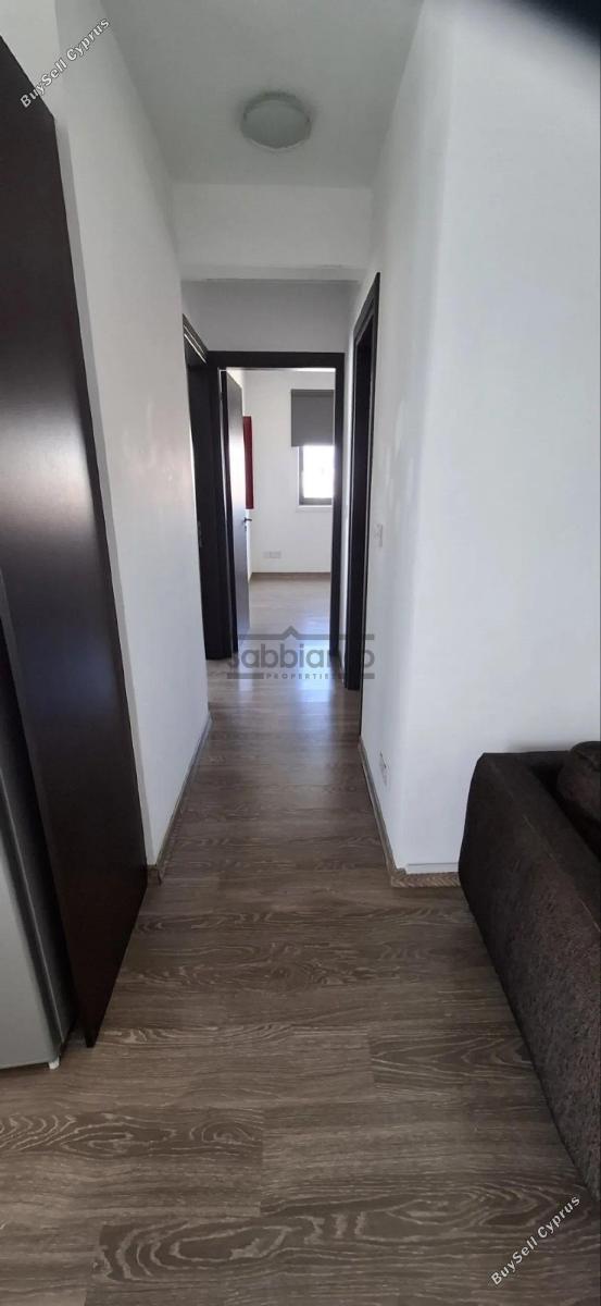 2 bedroom apartment for rent lykavitos nicosia 8749138 image 16472755