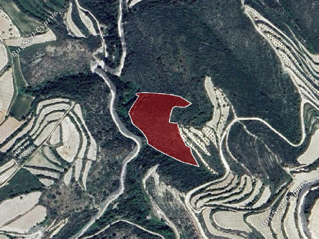 land for sale koili paphos 823238 image 15598558