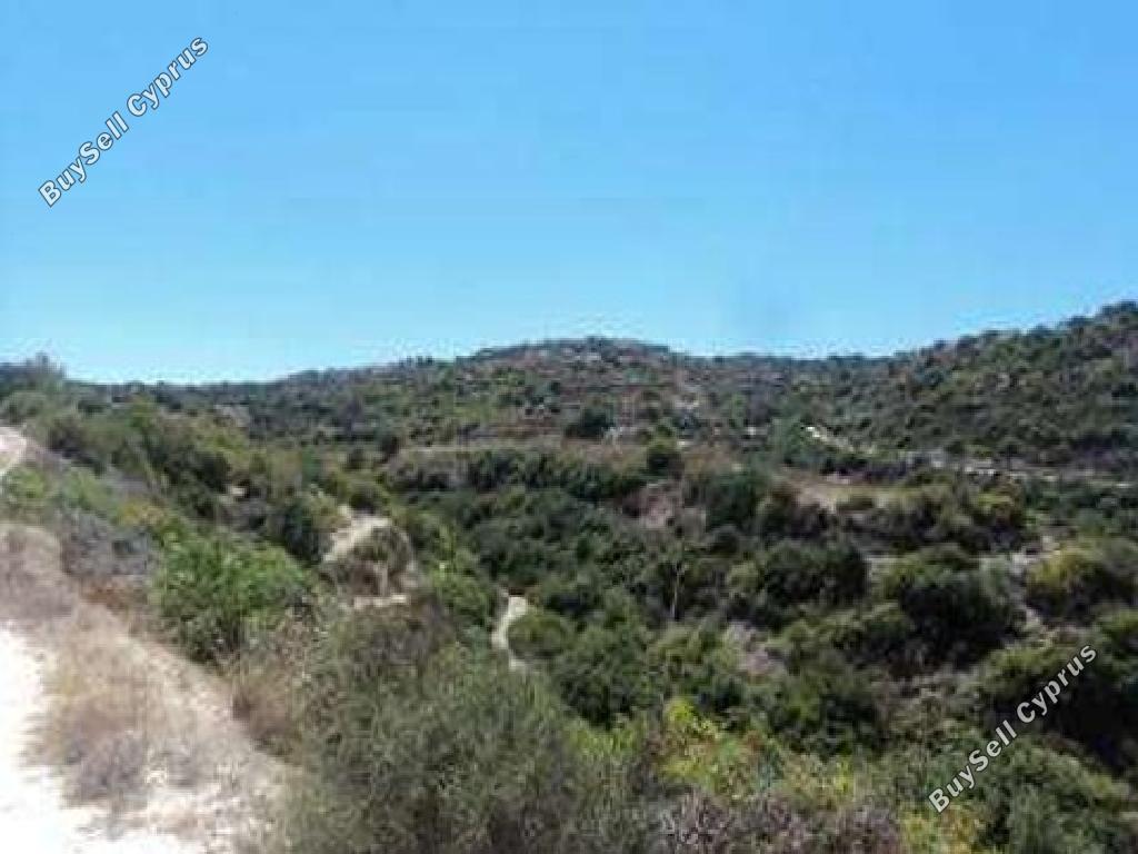 land for sale koili paphos 823238 image 17253456